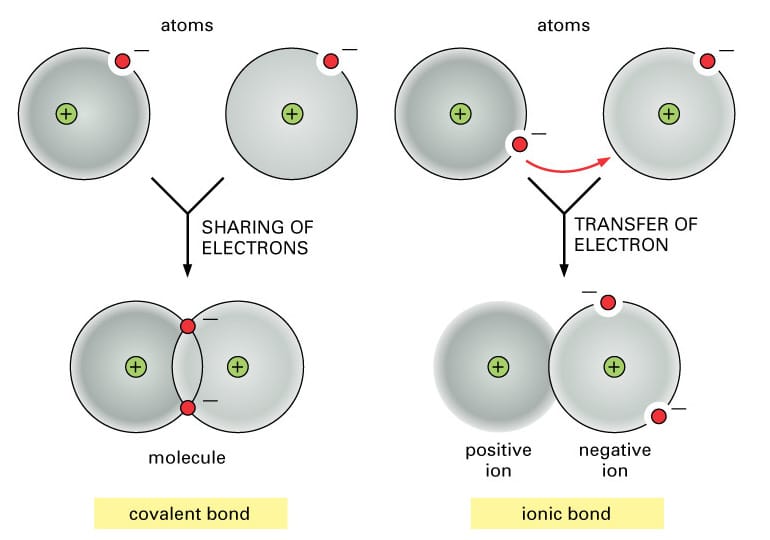 How towards P the ATI TEAS Science Portion Pocket Prep photograph regarding Teas Test Printable Study Guide named How towards P the ATI TEAS Science Component Pocket Prep