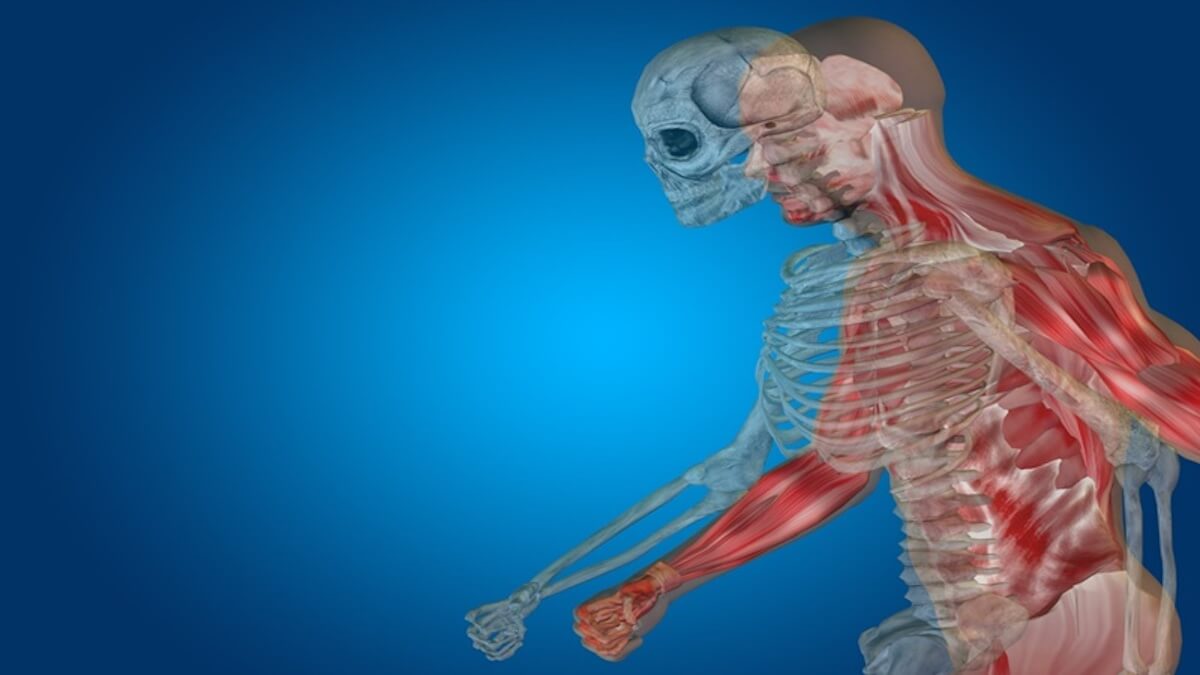 hesi a2 anatomy physiology test practice exam pocket july prep