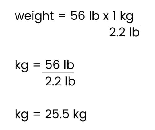 Medication Calculations and the NCLEX - Pocket Prep