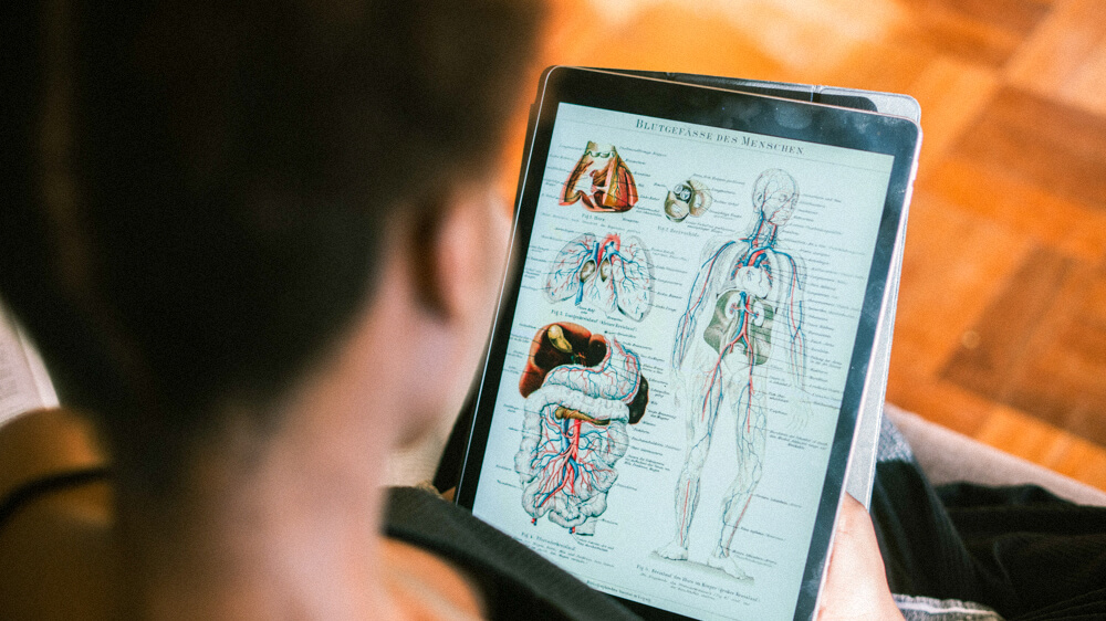 A person studies diagrams of blood flow through the body on a tablet.