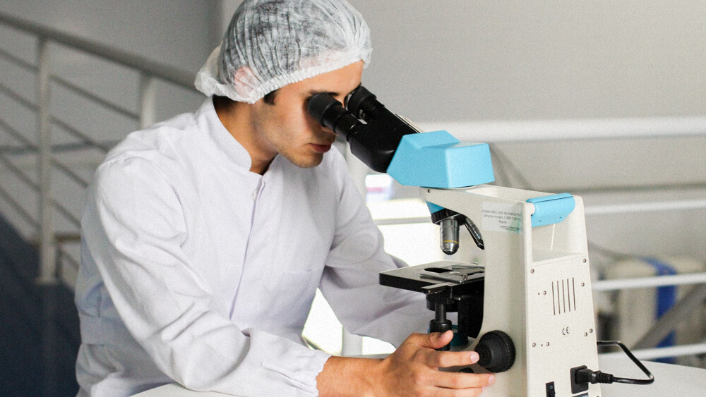 A person looks into a compound microscope and adjusts the focus.