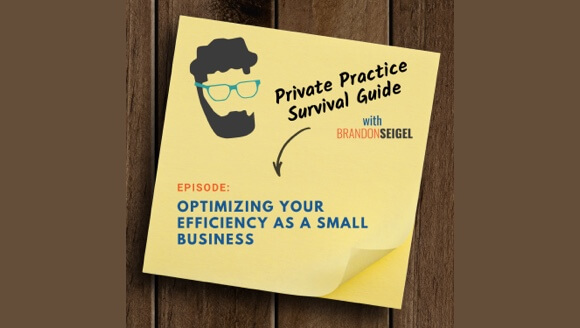 Private practice survival guide podcast cover art.