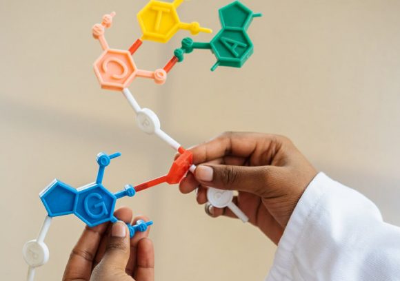 Person holding plastic molecular pieces that are connected.
