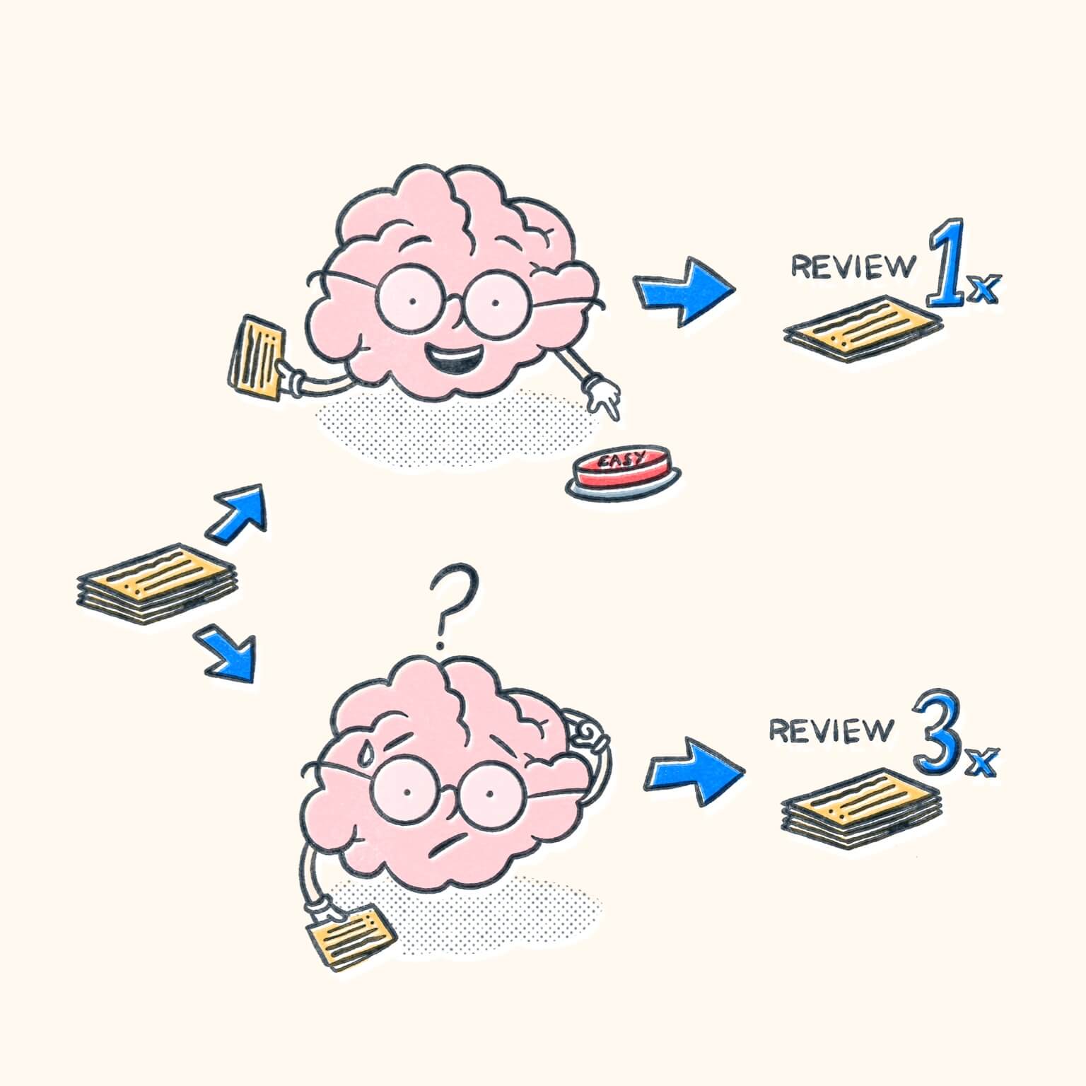 Comparison of two brains with one reviewing easy information once, and the other reviewing hard information multiple times.