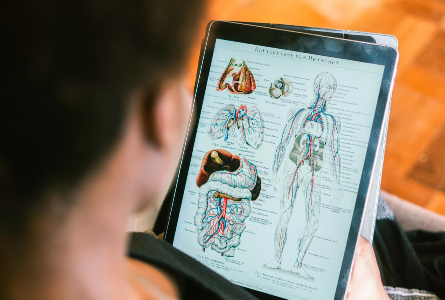 Person reviewing anatomy diagram on a tablet.