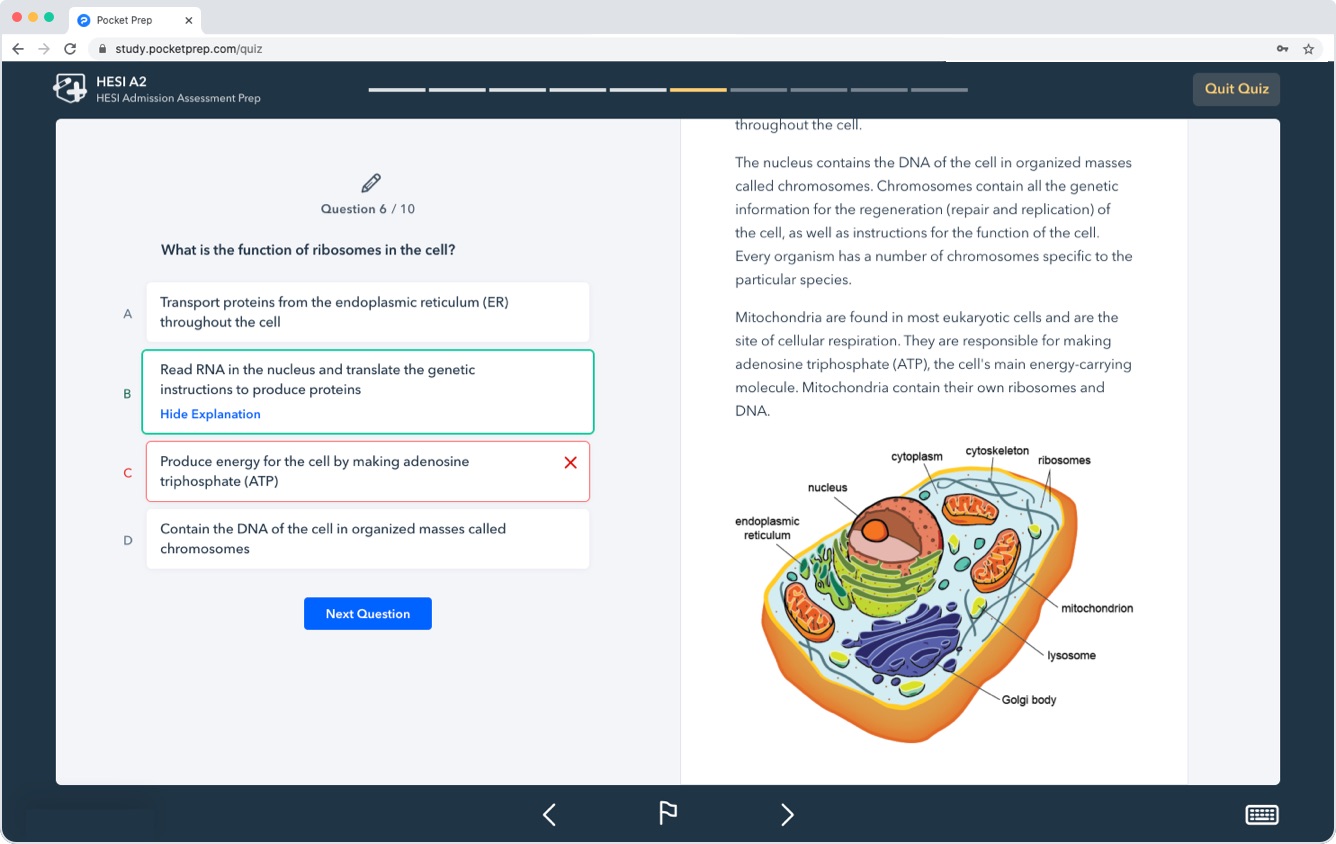 Pocket Prep web app showing multiple choice question with detailed explanation.