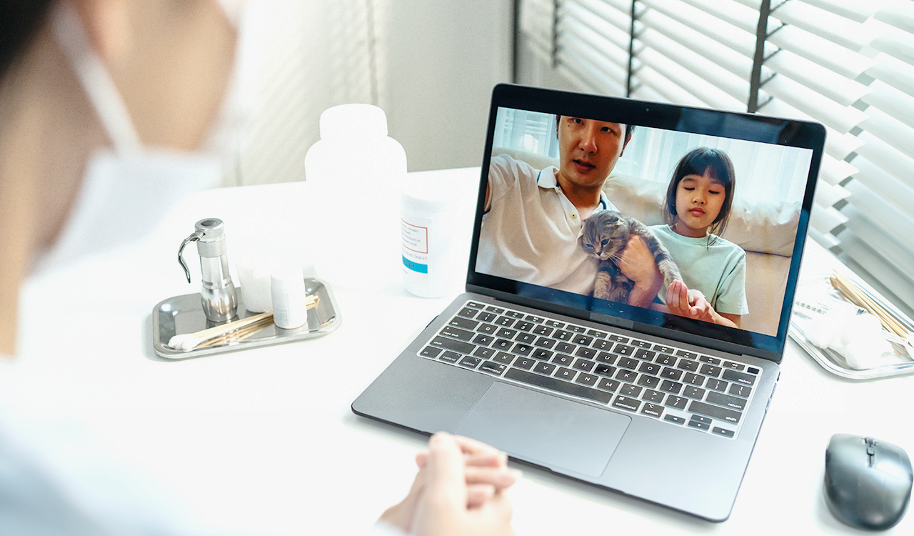 A veterinarian performs a telehealth check on a sick cat via a computer.