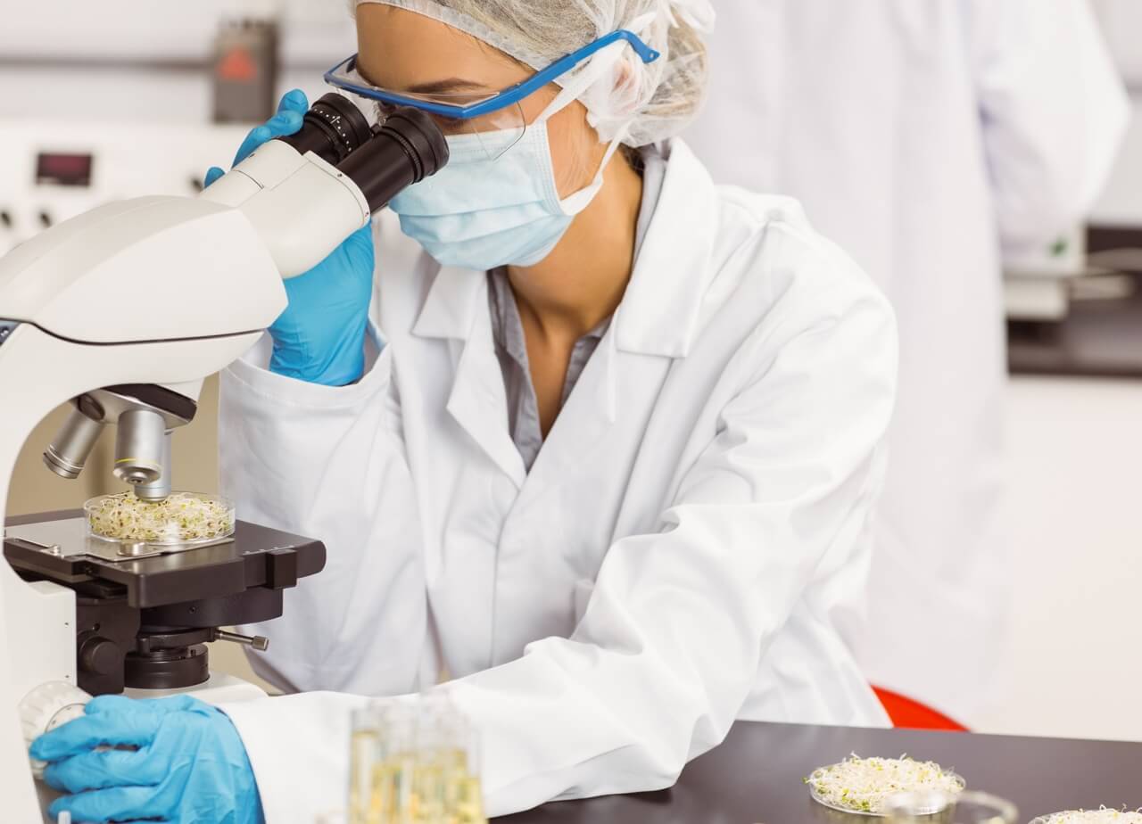 A scientist looks into a microscope while sitting at a lab bench.