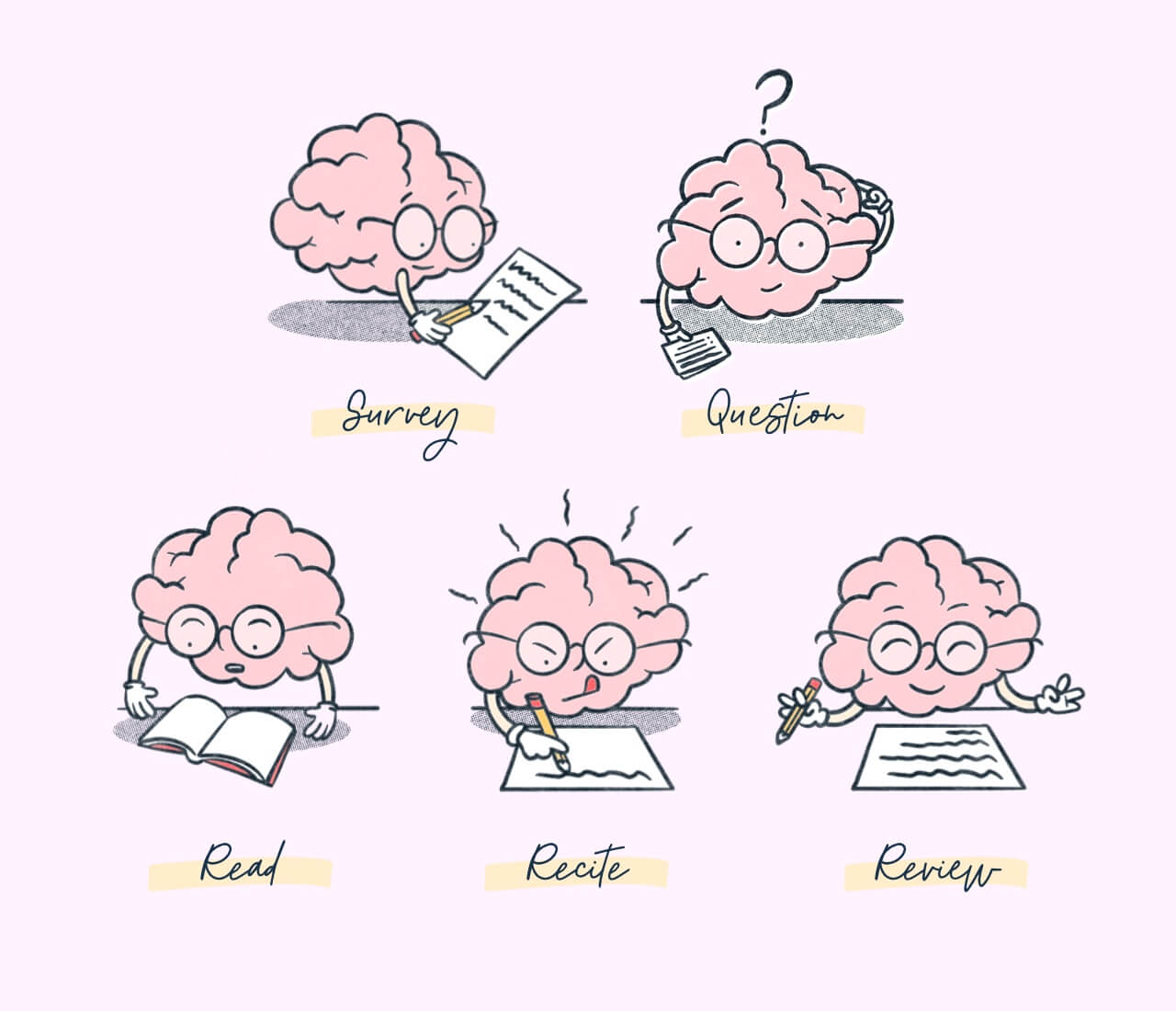 Five brain characters with glasses on a pink background studying. Illustration with words survey, question, read, recite, remember..